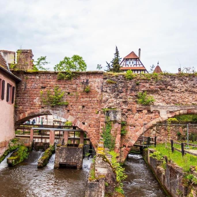 Appartements « La Parenthese » Wissembourg Zewnętrze zdjęcie